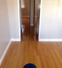 Hardwood Revival