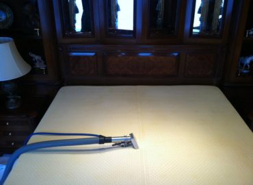 Carpet Cleaning Ashburn