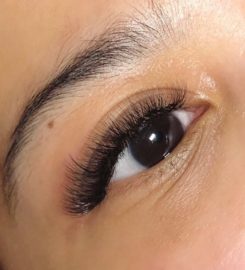 Muse + Maven Lash + Beauty Studio