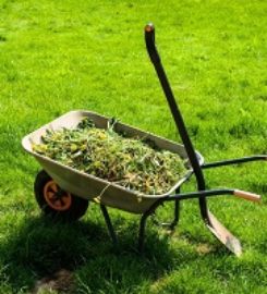 Bloomington Lawn Care