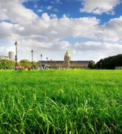 Bloomington Lawn Care
