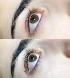 Muse + Maven Lash + Beauty Studio