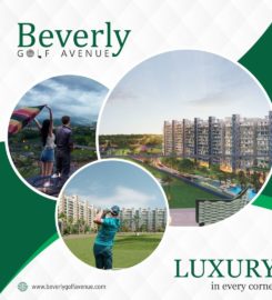 Beverly Golf Avenue