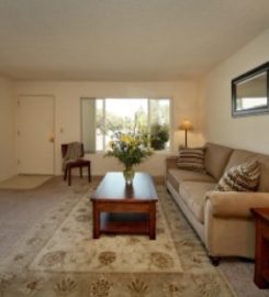 Davisville Management Company