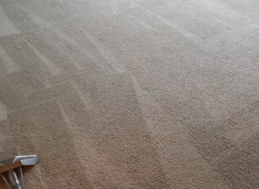 Carpet Cleaning Arlington