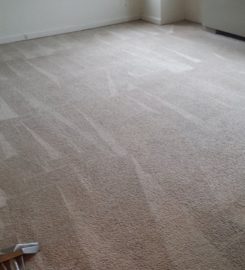 Carpet Cleaning Pentagon