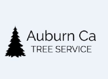 Auburn Ca Tree Service