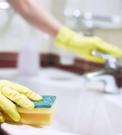 Vivian's Maid In Seattle – Your Trusted Cleaning Partn &hellip;