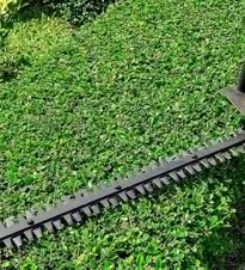 Bronx Lawn Cutting And Yard Maintenance