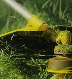 Bronx Lawn Cutting And Yard Maintenance