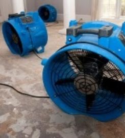 Water Damage Restoration Queens
