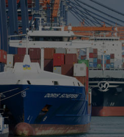 Freight forwarding & Custom Logistic services Australia
