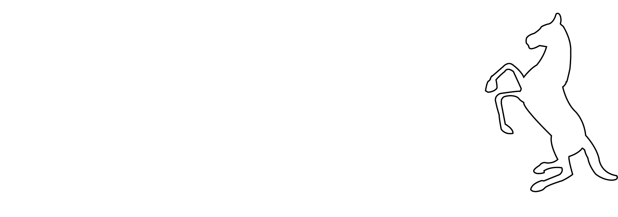 CAVALLI STABLES SYSTEM X CERAMIC COATING.