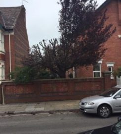Alpine Tree Surgeons – Basingstoke