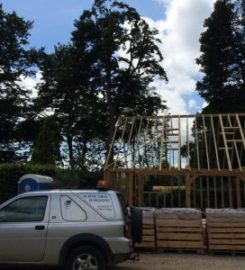 Alpine Tree Surgeons – Basingstoke
