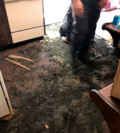 Black Mold Removal Long Island
