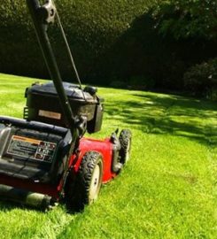 Marc's Lawn Care Service & Landscaping