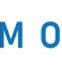 APM Online SEO & Web Design