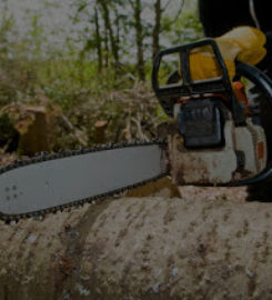 UNBEATABLE RATES Tree Service & Removal