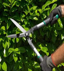 Texas Shade Tree Service