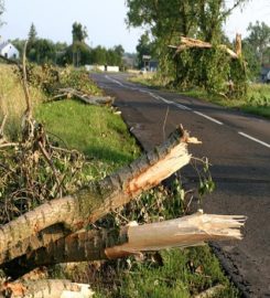 Texas Shade Tree Service