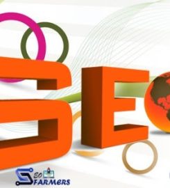 SEO Farmers – Best SEO Expert in Chandigarh
