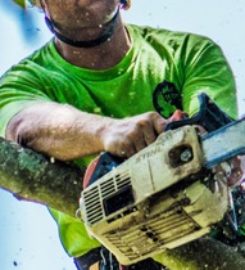 Marc's Lawn Care Service & Landscaping