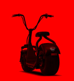 Rhino Scooters