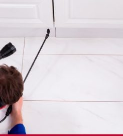 Termite Control San Antonio – Satxpest