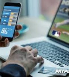 PayPerHead