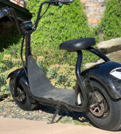 Rhino Scooters