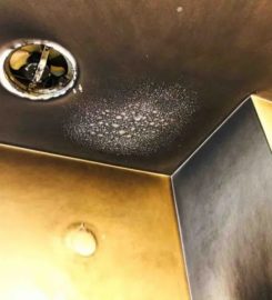 Cleaning Inspection Restoration and Testing Services (CIRTS)