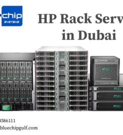 Bluechip Computer Systems