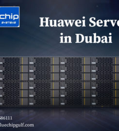 Bluechip Computer Systems