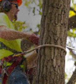 Marc's Landscaping & Lawn Care Service