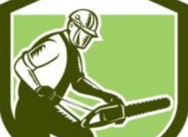 Norwalk Tree Services LLC