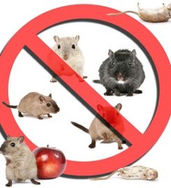 Ann Arbor Pest Control