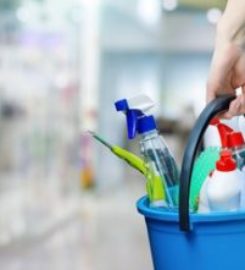 Sunlight Cleaning Service New York