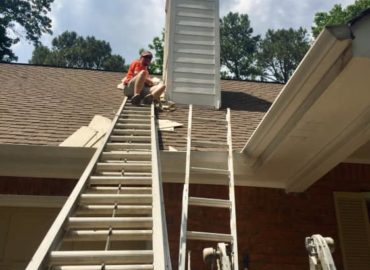 Shain Painting