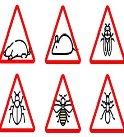 Ann Arbor Pest Control