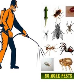 Ann Arbor Pest Control