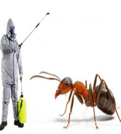 Ann Arbor Pest Control