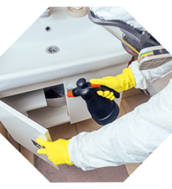 Termite Control San Antonio – Satxpest