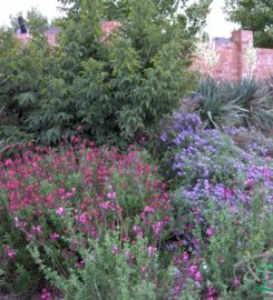 Lawn & Landcare