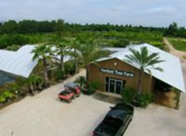 Verdant Tree Farm
