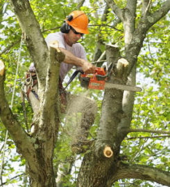 Marc's Landscaping & Lawn Care Service