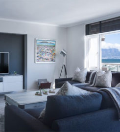 Interior Designer Tampa