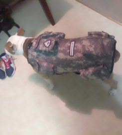 CANINE WEIGHT SET®