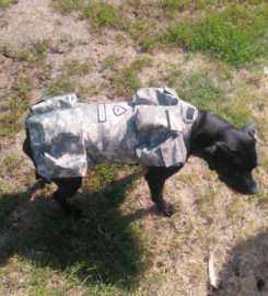 CANINE WEIGHT SET®