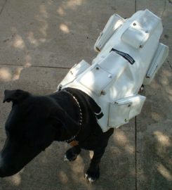 CANINE WEIGHT SET®